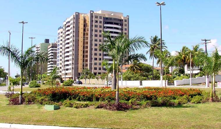Prefeitura de Aracaju quer plantar 100 mil árvores até 2004