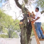 Prefeitura lança Projeto Cidadania no Bugio  - Agência Aracaju de Notícias  fotos: Abmael Eduardo