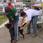 Secretário abre campanha antirábica em Aracaju  - Agência Aracaju de Notícias  fotos: Abmael Eduardo