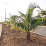 Prefeitura urbaniza canteiro central da Tancredo Neves - Agência Aracaju de Notícias  fotos: Wellington Barreto