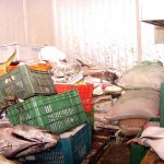 Emsurb soluciona problema da câmara de peixes no mercado - Agência Aracaju de Notícias