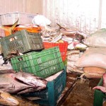 Emsurb soluciona problema da câmara de peixes no mercado - Agência Aracaju de Notícias