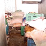 Emsurb soluciona problema da câmara de peixes no mercado - Agência Aracaju de Notícias