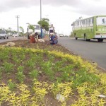 PMA muda o visual da avenida Tancredo Neves  - Agência Aracaju de Notícias  fotos: Wellington Barreto