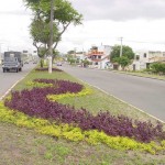 Serviço de paisagismo da Tancredo Neves está quase pronto - Agência Aracaju de Notícias  fotos: Wellington Barreto