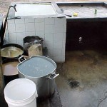 Prefeitura trabalha para reduzir casos de leptospirose em Aracaju - Agência Aracaju de Notícias
