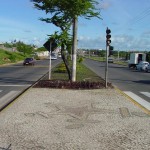 Serviço de paisagismo da Tancredo Neves está quase pronto - Agência Aracaju de Notícias  fotos: Wellington Barreto