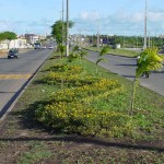 Serviço de paisagismo da Tancredo Neves está quase pronto - Agência Aracaju de Notícias  fotos: Wellington Barreto