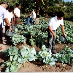 Fundat desenvolve curso para jovens especiais - Agência Aracaju de Notícias  fotos: Fernando Sieva