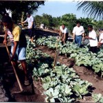 Fundat desenvolve curso para jovens especiais - Agência Aracaju de Notícias  fotos: Fernando Sieva