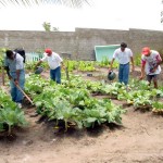 Crianças especiais do bairro Santa Maria recebem atendimento especializado - Agência Aracaju de Notícias  fotos: Wellington Barreto