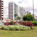 Prefeitura de Aracaju quer plantar 100 mil árvores até 2004   - Agência Aracaju de Notícias