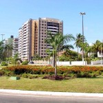 Prefeitura de Aracaju quer plantar 100 mil árvores até 2004   - Agência Aracaju de Notícias