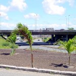 Jardinagem na avenida Tancredo Neves agrada o aracajuano  - Agência Aracaju de Notícias  fotos:Wellington Barreto