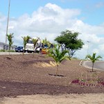 Jardinagem na avenida Tancredo Neves agrada o aracajuano  - Agência Aracaju de Notícias  fotos:Wellington Barreto