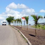 Jardinagem na avenida Tancredo Neves agrada o aracajuano  - Agência Aracaju de Notícias  fotos:Wellington Barreto