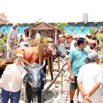 Centenas de pessoas visitam o presépio de Aracaju diariamente - Agência Aracaju de Notícias  fotos: Wellington Barreto