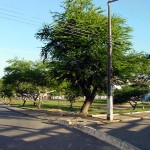 Prefeitura vai reformar a maior praça do bairro 18 do Forte - Agência Aracaju de Notícias  fotos: Márcio Dantas