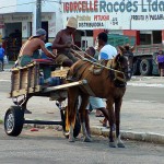 Carroceiros de Aracaju serão orientados pela prefeitura - Agência Aracaju de Notícias  foto: Abmael Eduardo