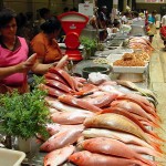 Peixe comercializado em Aracaju vem sendo fiscalizado pela Vigilância Sanitária - Agência Aracaju de Notícias