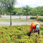 Espécies frutíferas estão sendo produzidas pelo Horto da Emsurb - Fotos: Wellington Barreto  Agência Aracaju de Notícias