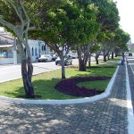 Canteiros do Centro de Aracaju passam por tratamento - Agência Aracaju de Notícias  fotos: Márcio Dantas