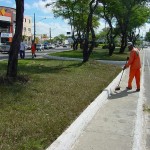 Canteiros do Centro de Aracaju passam por tratamento - Agência Aracaju de Notícias  fotos: Márcio Dantas