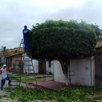 Prefeitura de Aracaju realiza podação de árvores no Santa Maria  - Fotos: Hélber Andrade  Agência Aracaju de Notícias