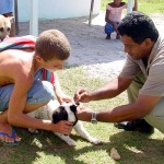 Animais com calazar são recolhidos e sacrificados no Santa Maria - Fotos: Wellington Barreto  Agência Aracaju de Notícias