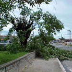 PMA realiza serviços de podação na avenida Visconde de Maracaju - Agência Aracaju de Notícias