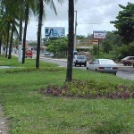 Prefeitura desenvolve projeto paisagístico na avenida Rotary  - Agência Aracaju de Notícias