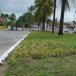 Prefeitura desenvolve projeto paisagístico na avenida Rotary  - Agência Aracaju de Notícias