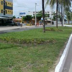 Prefeitura desenvolve projeto paisagístico na avenida Rotary  - Agência Aracaju de Notícias