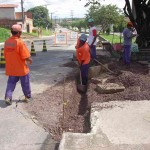 EMURB RECUPERA CANTEIROS NA VISCONDE MARACAJU -  Fotos: Meme Rocha
