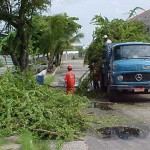 Emsurb continua com serviço de podação de árvores em vários bairros de Aracaju - Agência Aracaju de Notícias