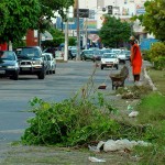 Emsurb realiza limpeza do canteiro central da avenida Edésio Vieira de Melo - Fotos: Márcio Dantas  Agência Aracaju de Notícias