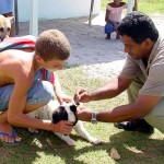 Vigilância Epidemiológica realiza combate ao calazar e esquistossomose - Fotos: Wellington Barreto  Agência Aracaju de Notícias