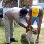 Vigilância Epidemiológica realiza combate ao calazar e esquistossomose - Fotos: Wellington Barreto  Agência Aracaju de Notícias