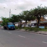 Emsurb continua com serviço de podação de árvores em vários bairros de Aracaju - Agência Aracaju de Notícias
