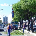 Emsurb realiza podação de árvores na avenida Hermes Fontes - Fotos: Abmael Eduardo  Agência Aracaju de Notícias