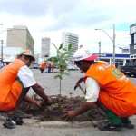 Canteiros centrais de avenidas são recuperados no bairro Santo Antônio - Fotos: Wellington Barreto  Agência Aracaju de Notícias
