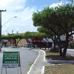 Serviço de podação de árvores da PMA possui acompanhamento técnico - Agência Aracaju de Notícias