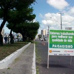 Serviço de podação de árvores da PMA possui acompanhamento técnico - Agência Aracaju de Notícias