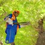 Turistas elogiam a beleza de Aracaju e aprovam o trabalho da Emsurb - Fotos: Wellington Barreto  Agência Aracaju de Notícias
