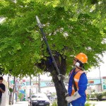 Turistas elogiam a beleza de Aracaju e aprovam o trabalho da Emsurb - Fotos: Wellington Barreto  Agência Aracaju de Notícias