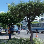 Serviço de podação da Emsurb é executado em diversas ruas de Aracaju - Agência Aracaju de Notícias