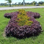 Serviços de limpeza urbana e paisagismo deixam a cidade cada vez mais bonita - Agência Aracaju de Notícias