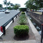 Novo projeto paisagístico vem sendo executado na avenida Gentil Tavares - Agência Aracaju de Notícias