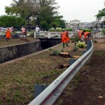 Canteiros da avenida Gentil Tavares recebem novo projeto paisagístico  - Fotos: Abmael Eduardo  Agência Aracaju de Notícias