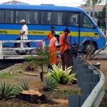 Canteiros da avenida Gentil Tavares recebem novo projeto paisagístico  - Fotos: Abmael Eduardo  Agência Aracaju de Notícias